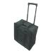(large) Soft PVC carrying case w/handle - Black 1